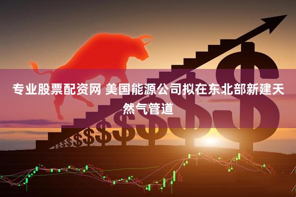 专业股票配资网 美国能源公司拟在东北部新建天然气管道