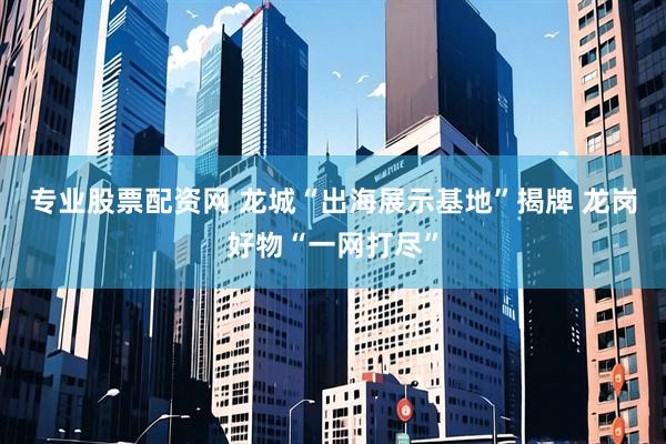 专业股票配资网 龙城“出海展示基地”揭牌 龙岗好物“一网打尽”