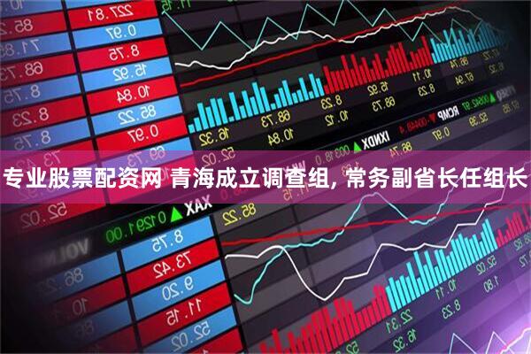 专业股票配资网 青海成立调查组, 常务副省长任组长